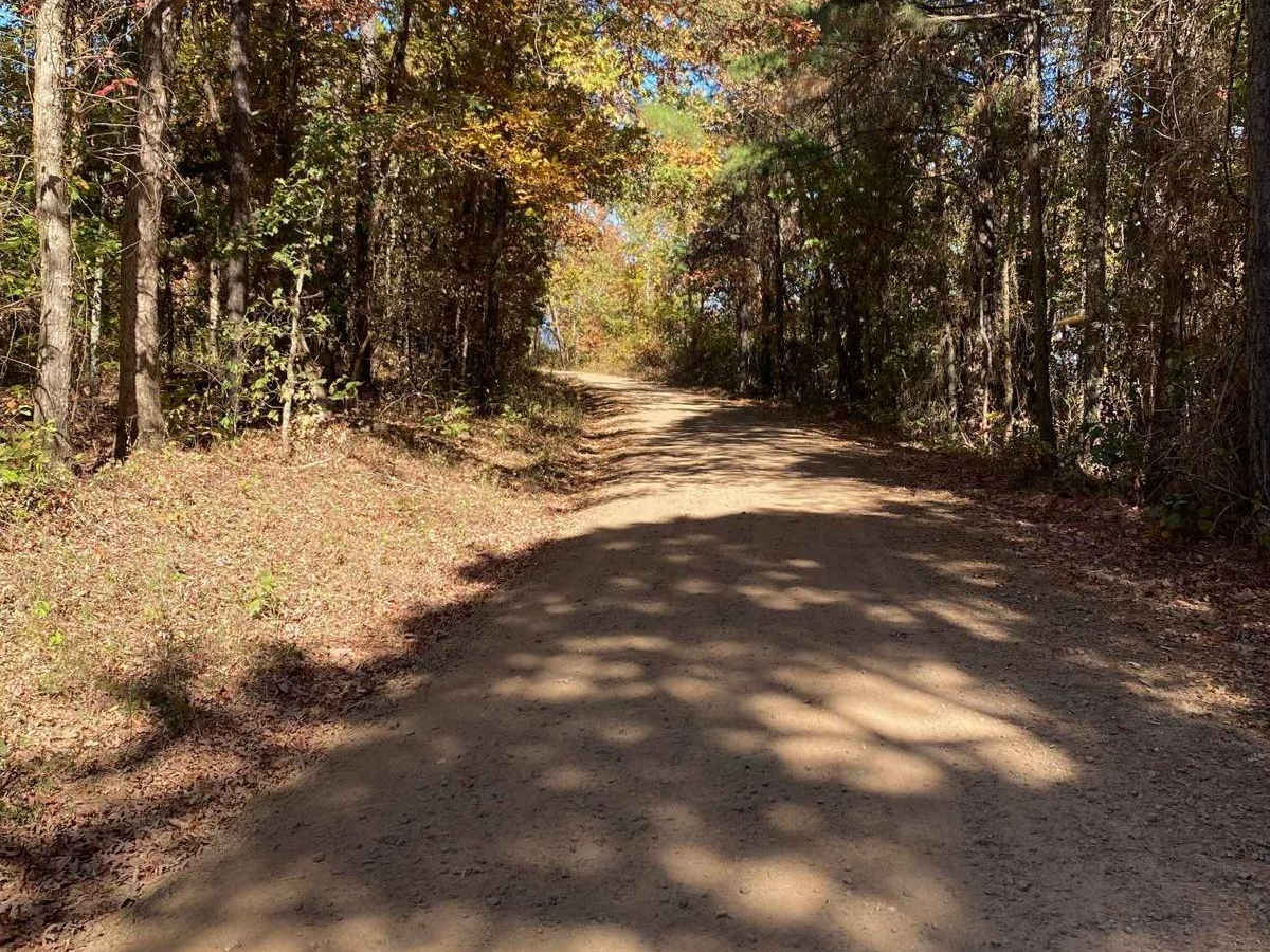 Graves Creek Road photo 2
