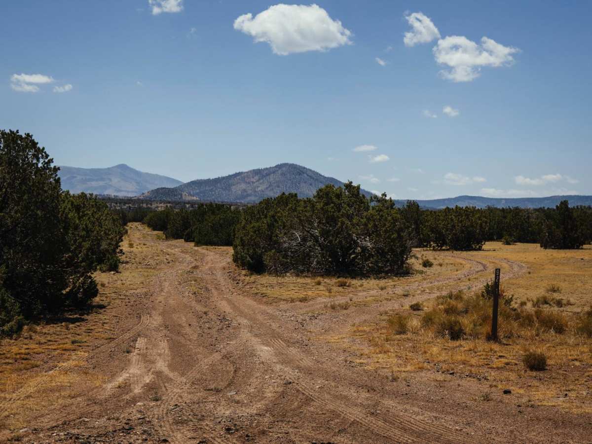 9222A trail photo