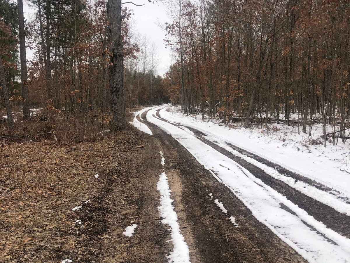 NFS Road 5236 photo 2