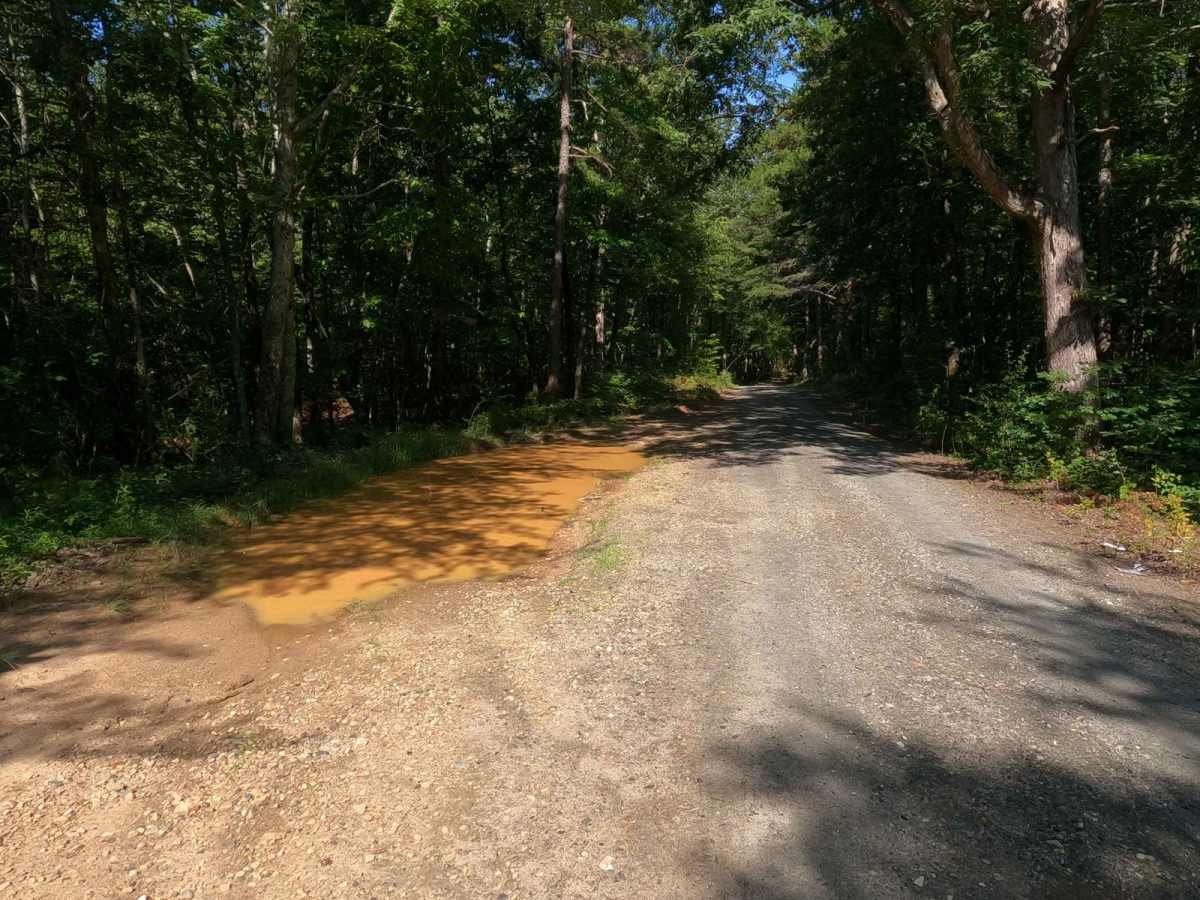 Locust Stake Road trail photo