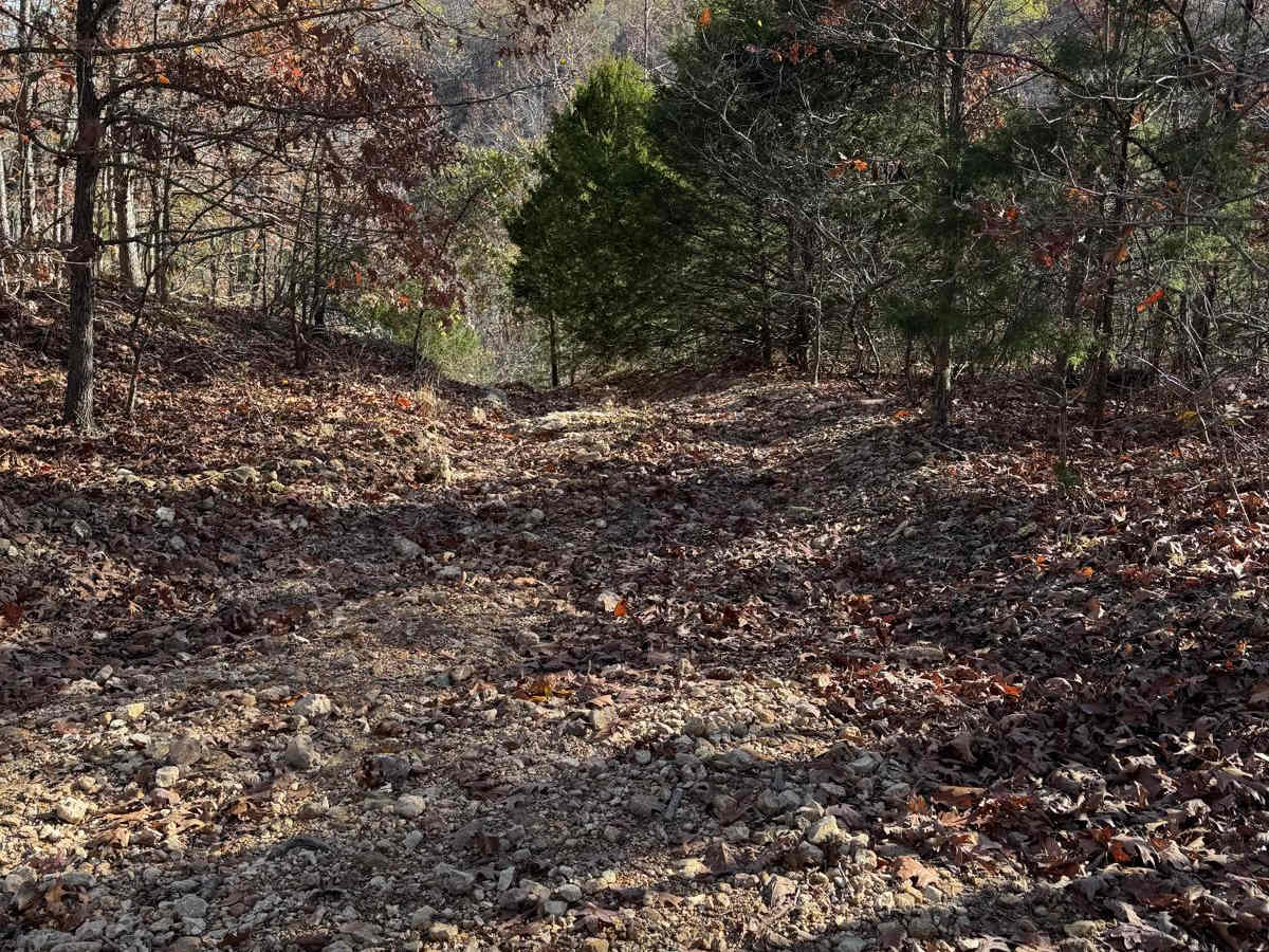 Yellow 165 trail photo