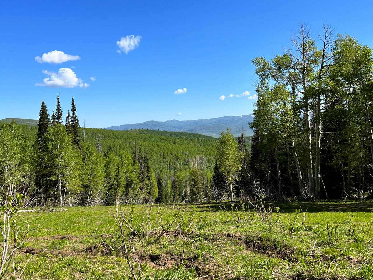 Mud Creek Road - 70150 photo 6