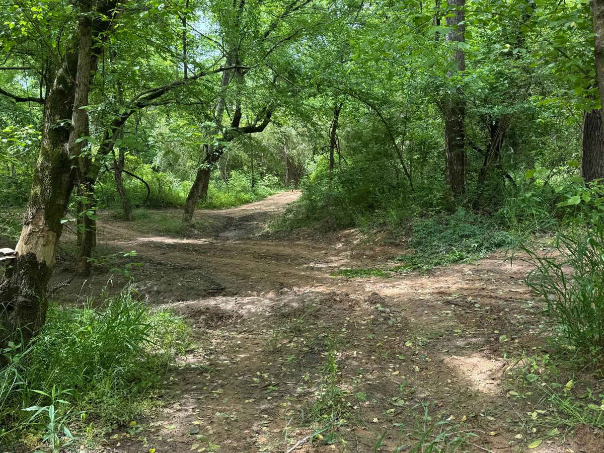 Campsite Road photo 6