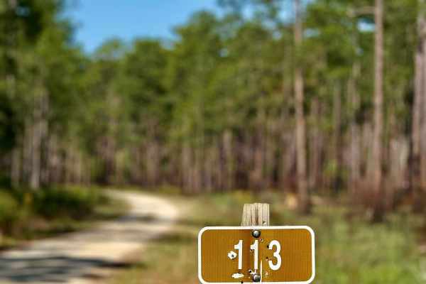 Larkin Trail - FS 113