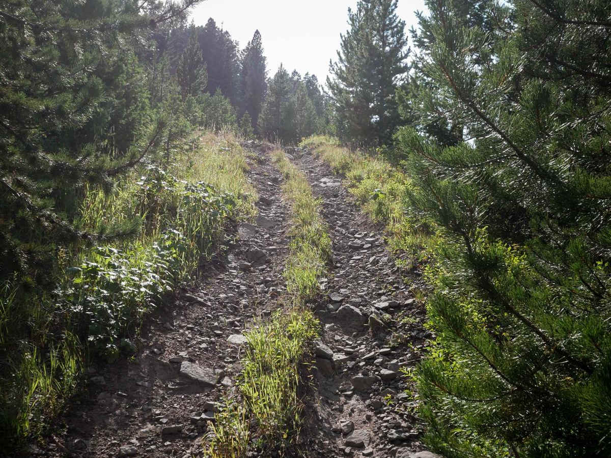 Canyon Creek Trail photo 4