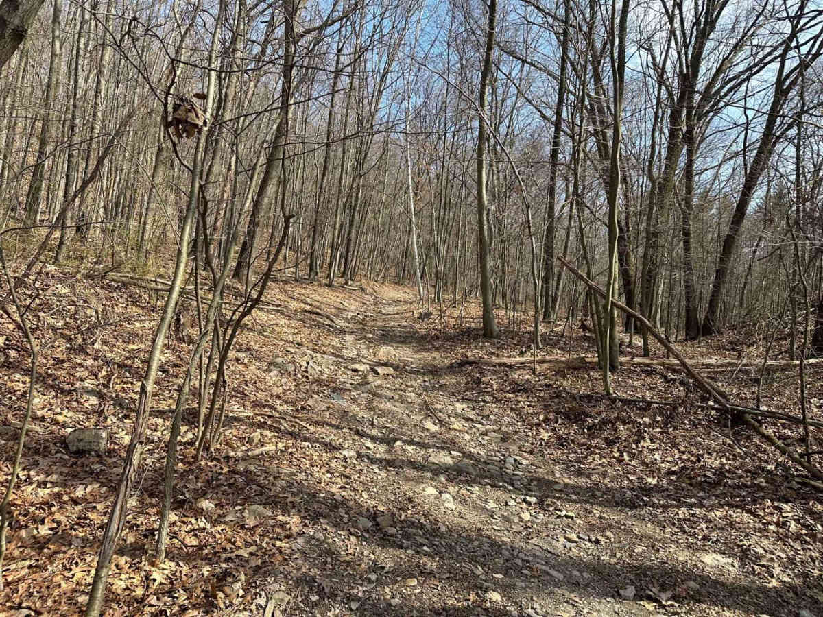 Ashland 6 trail photo