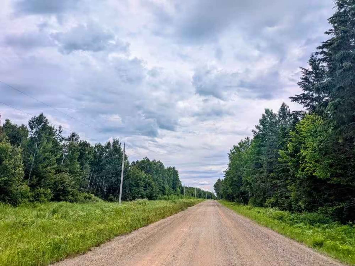 East Road trail photo