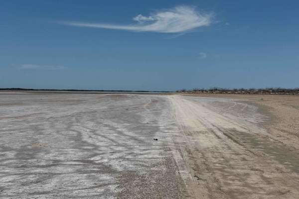Salt Flats Datil