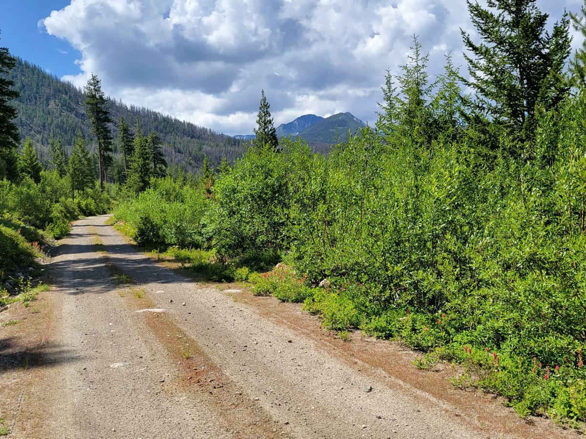 NF 400 - Buttermilk Butte photo 2