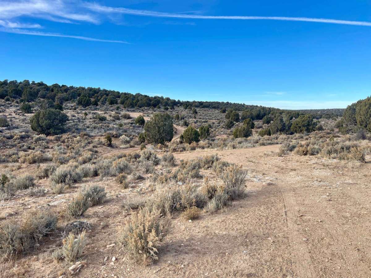 Shoebuckle Road 1059 photo 5