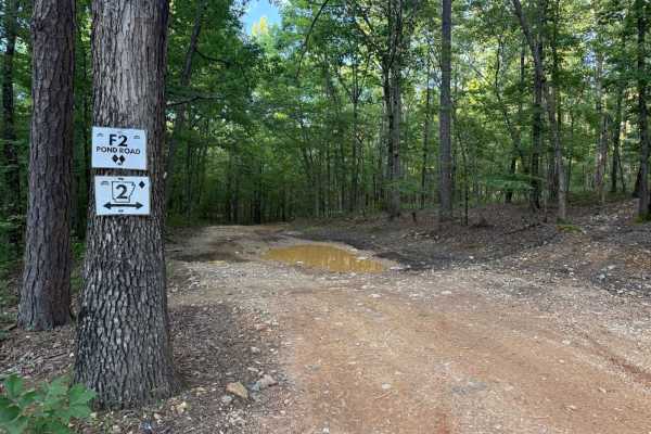 F2 Pond Road