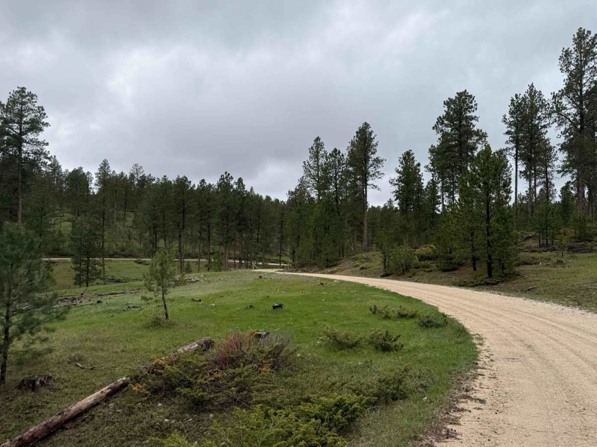 New Moon Loop photo 5