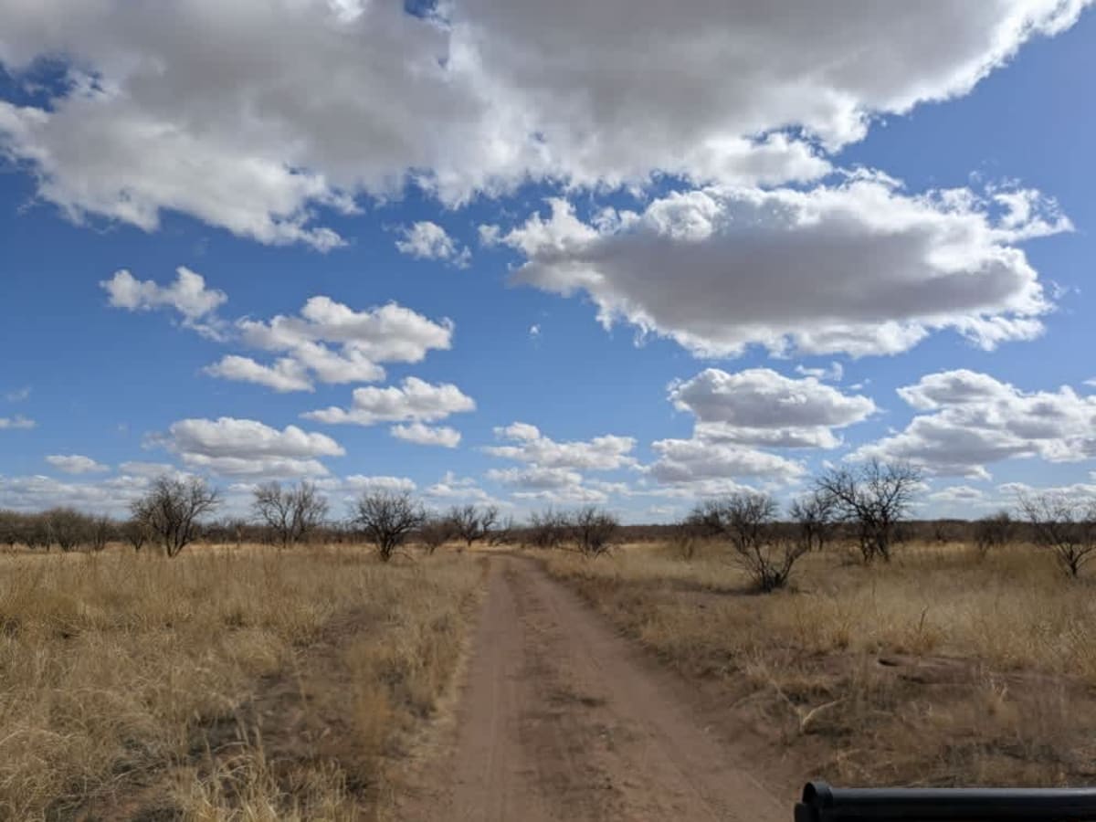 McKay a Tank Road photo 5