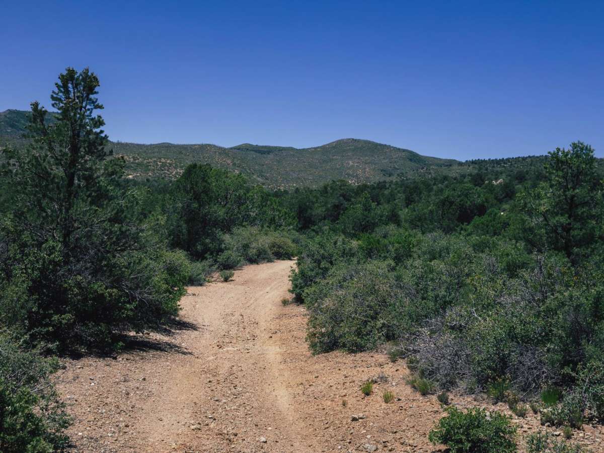 Old Camp Wood Road photo 6