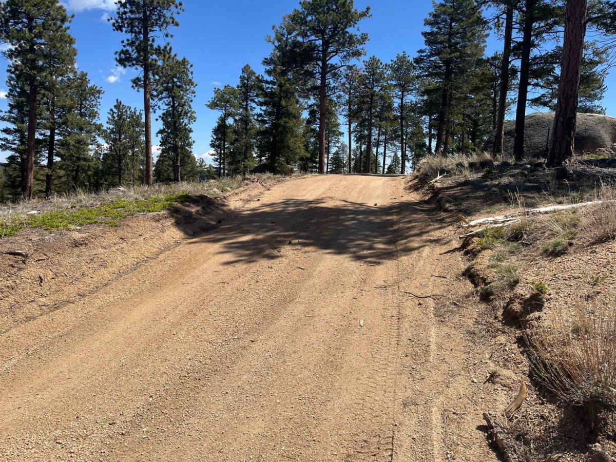 Ensign Gulch Road FR 314 photo 4