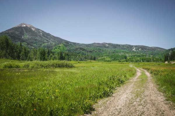 Ellis Trail South