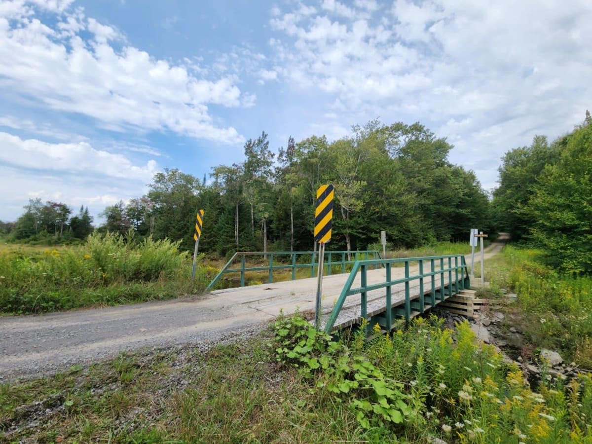 Michigan Mills Road trail photo