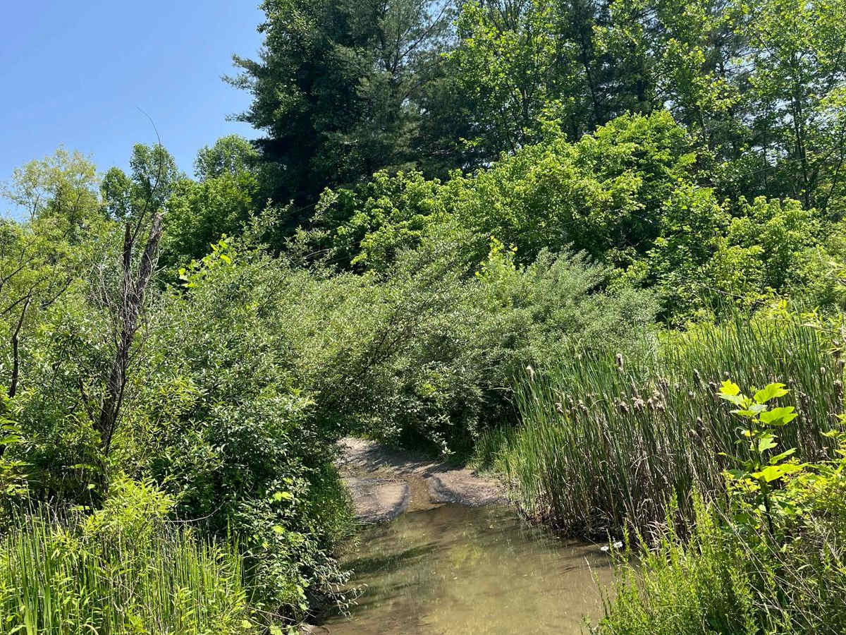 Trail 8 photo 4