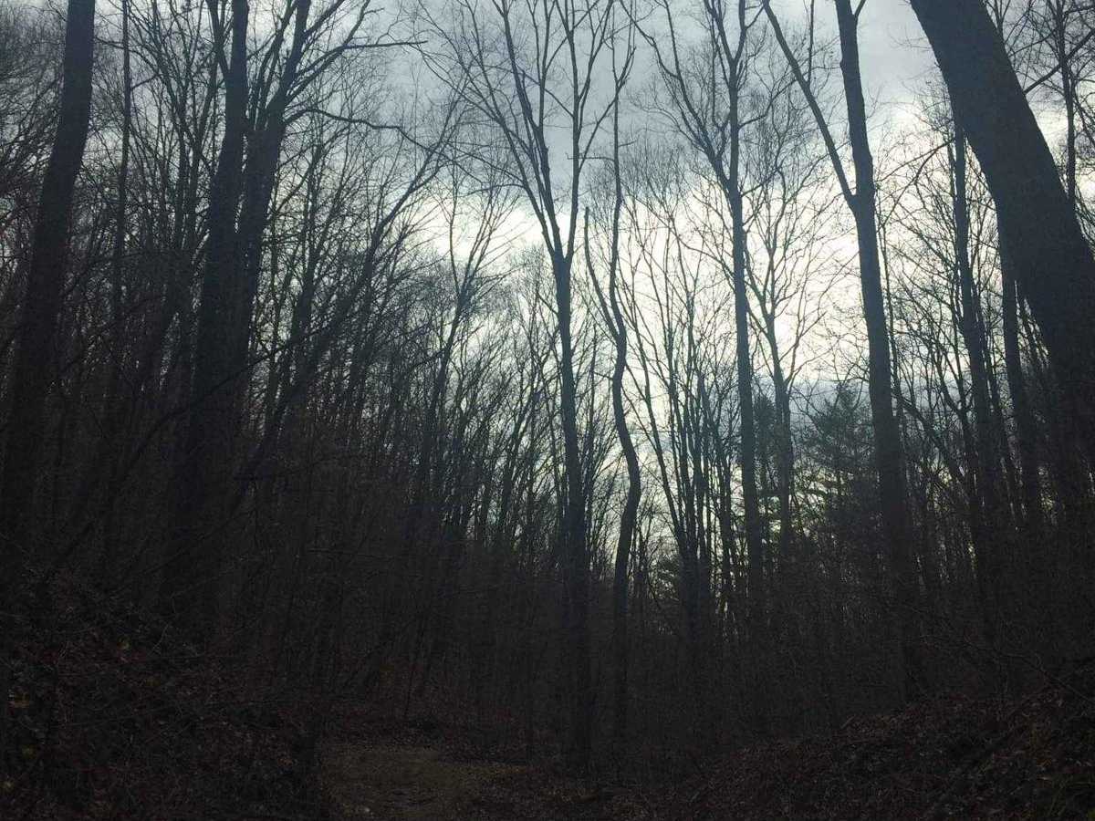 Wolf Cemetery trail photo