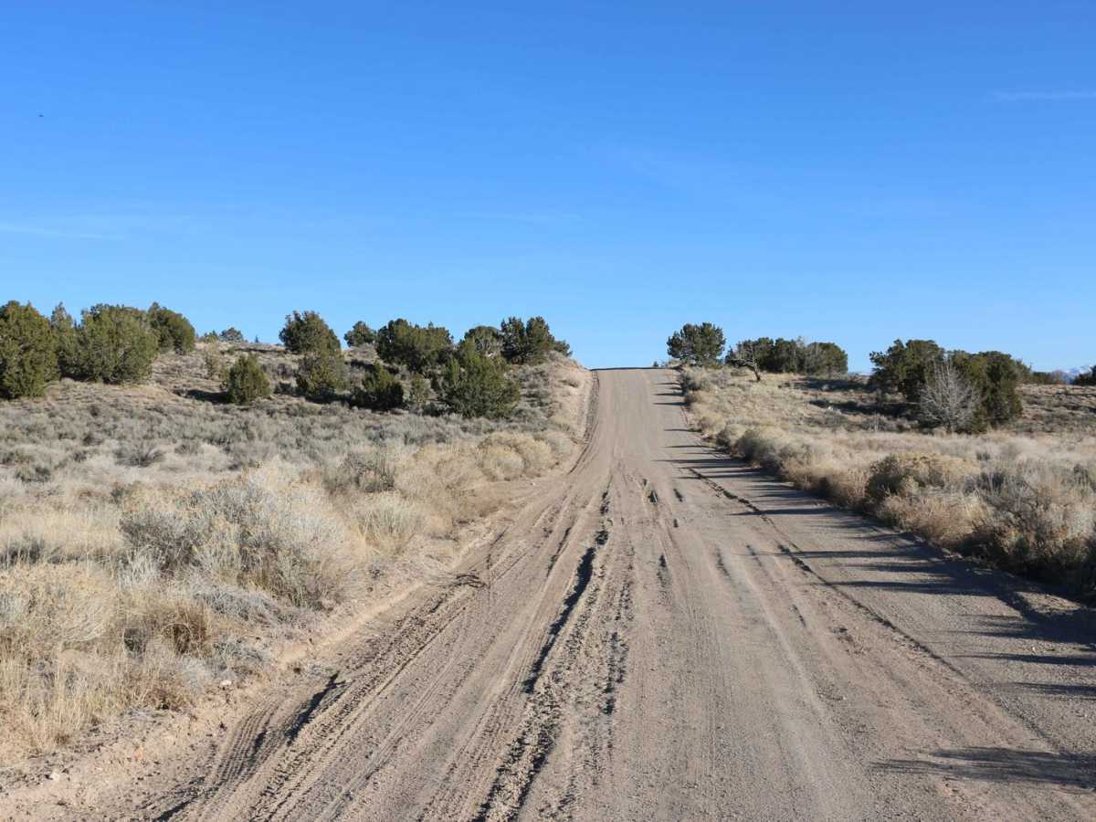 Spring Road photo 5