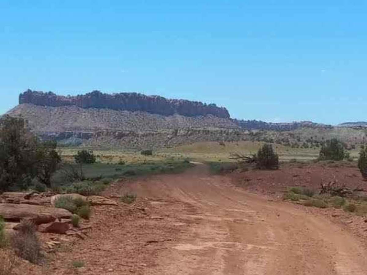 Wolverine Loop Road - 0640 photo 4