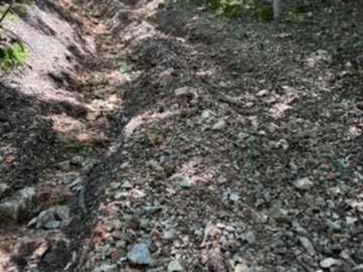 Caitlyn's Trail photo 5