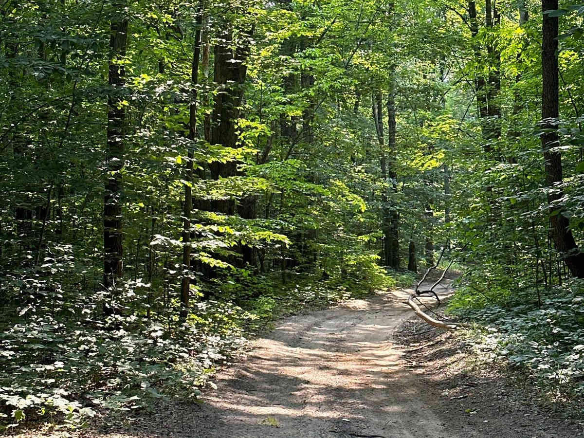 Turtle Lake Spur photo 5