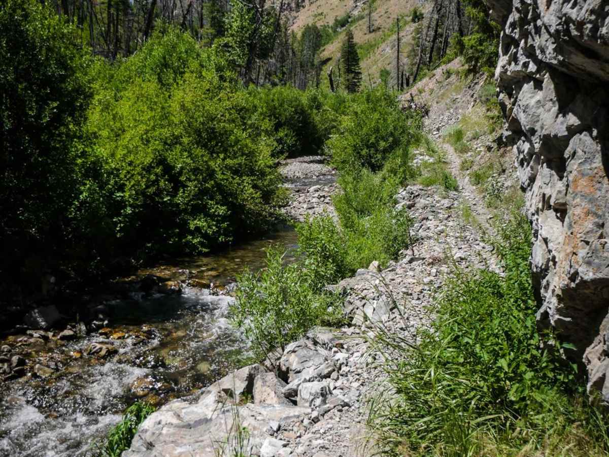 Deer Creek trail photo