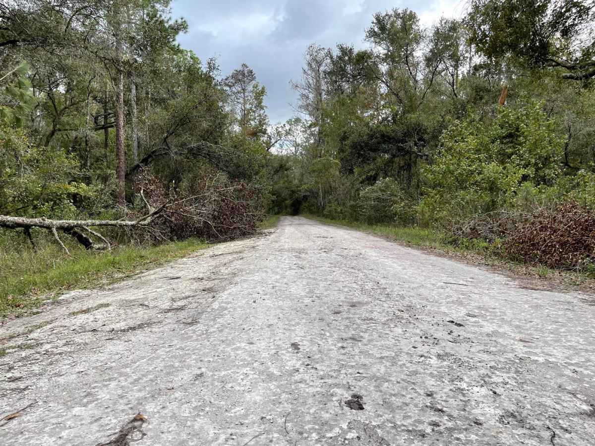 Withlacoochee Grades trail photo