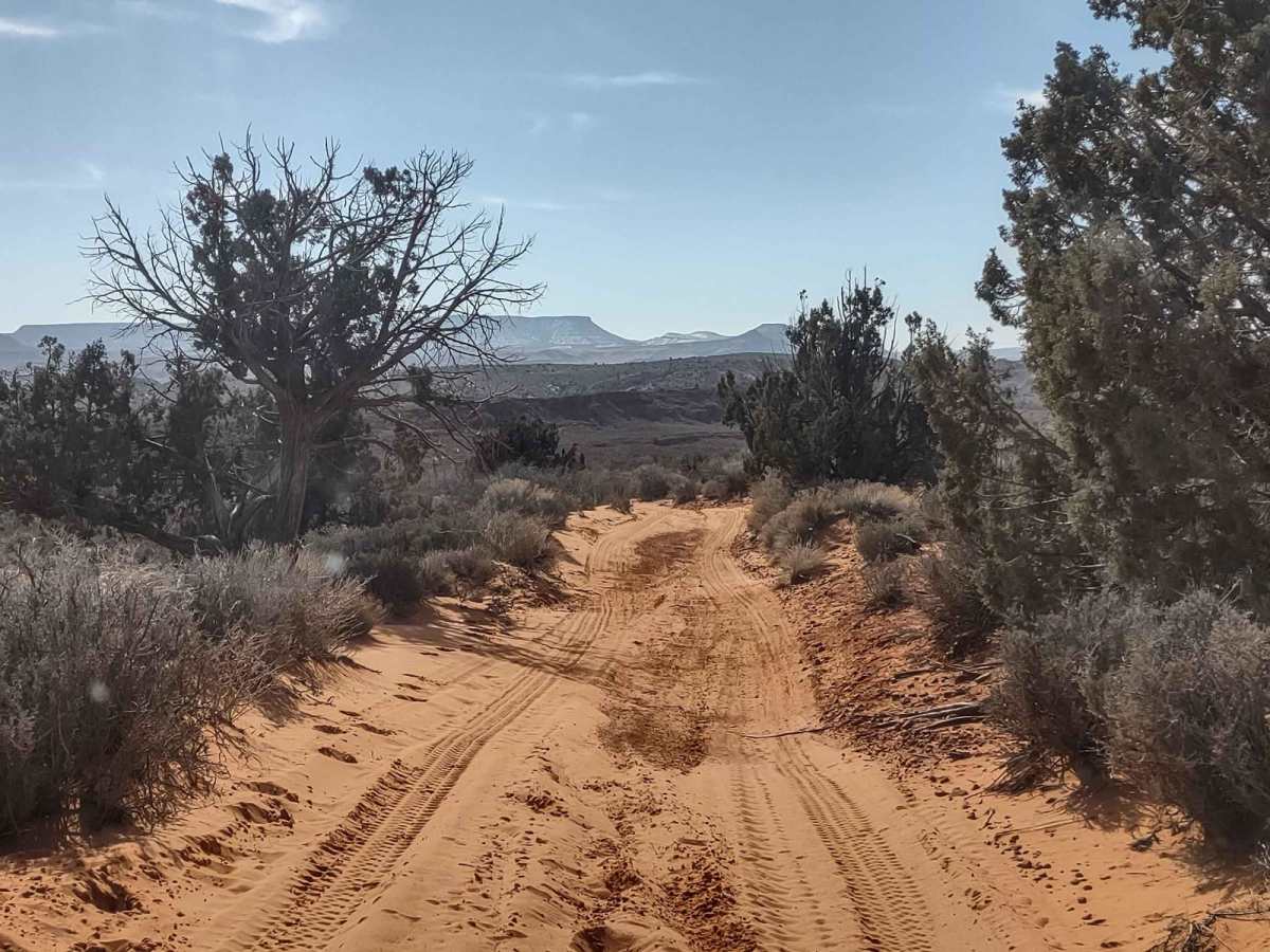 Northeast Access Red Cliffs Rec Area photo 6