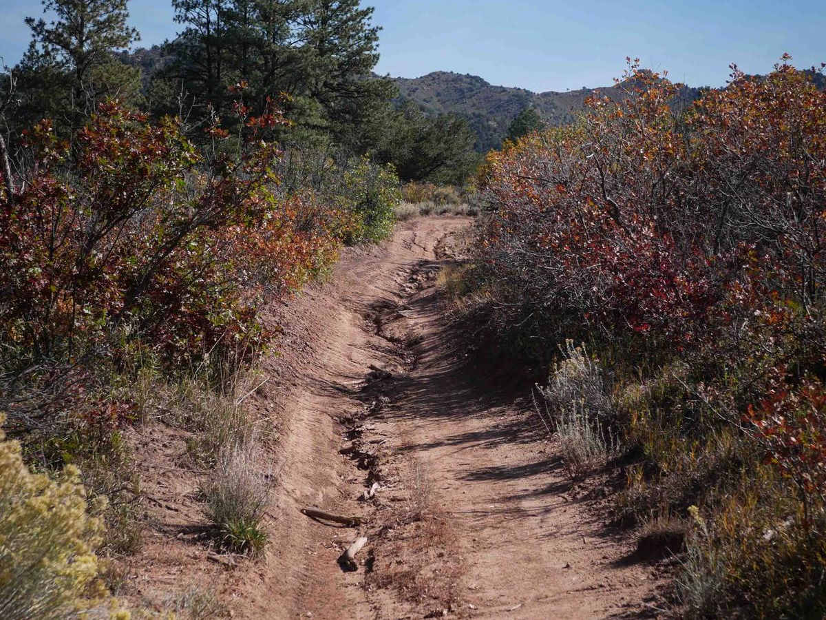 Ute Creek photo 6