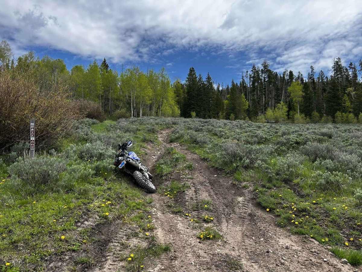 Sidewinder 1226.1A trail photo
