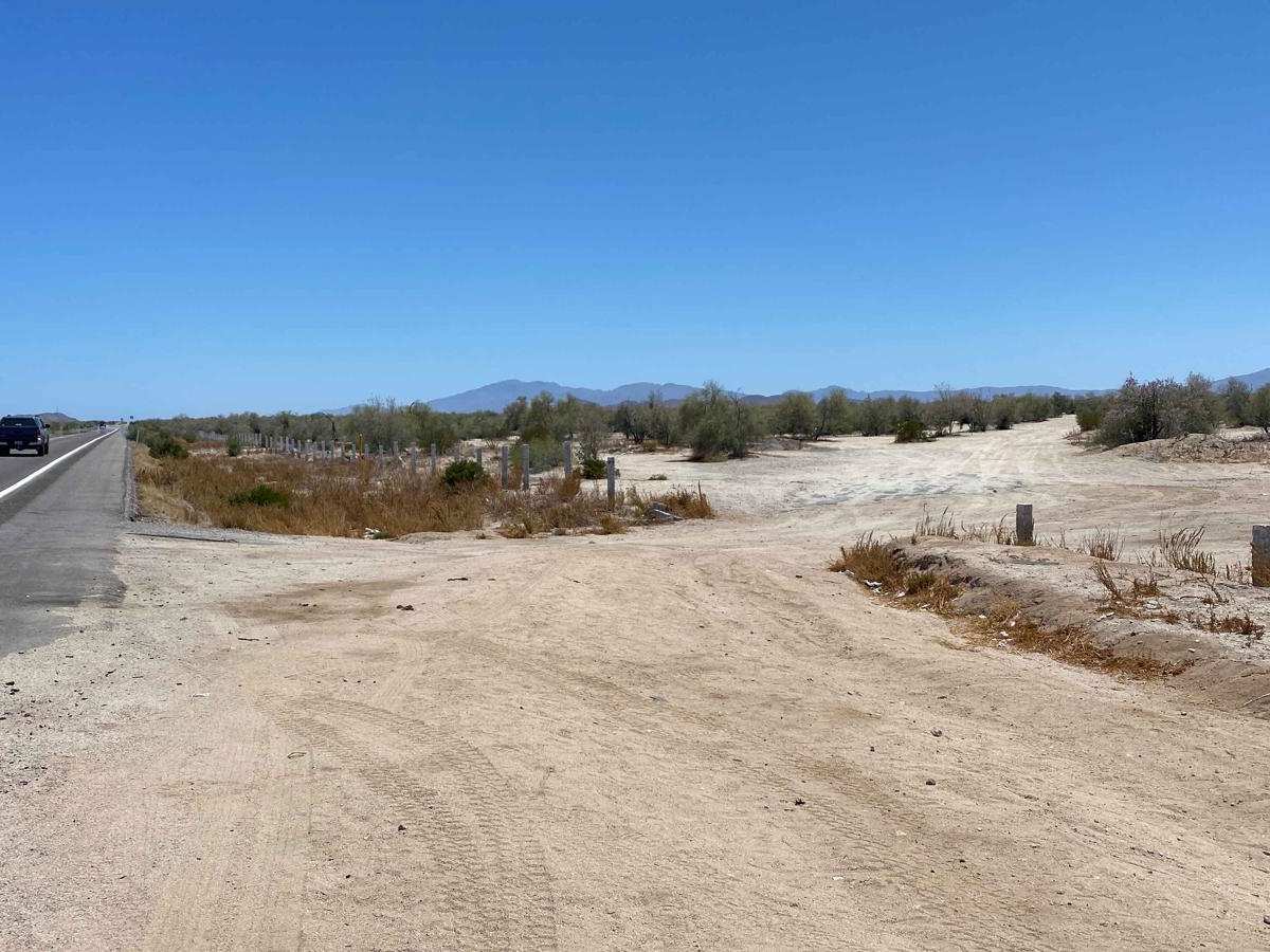 North of San Felipe photo 2