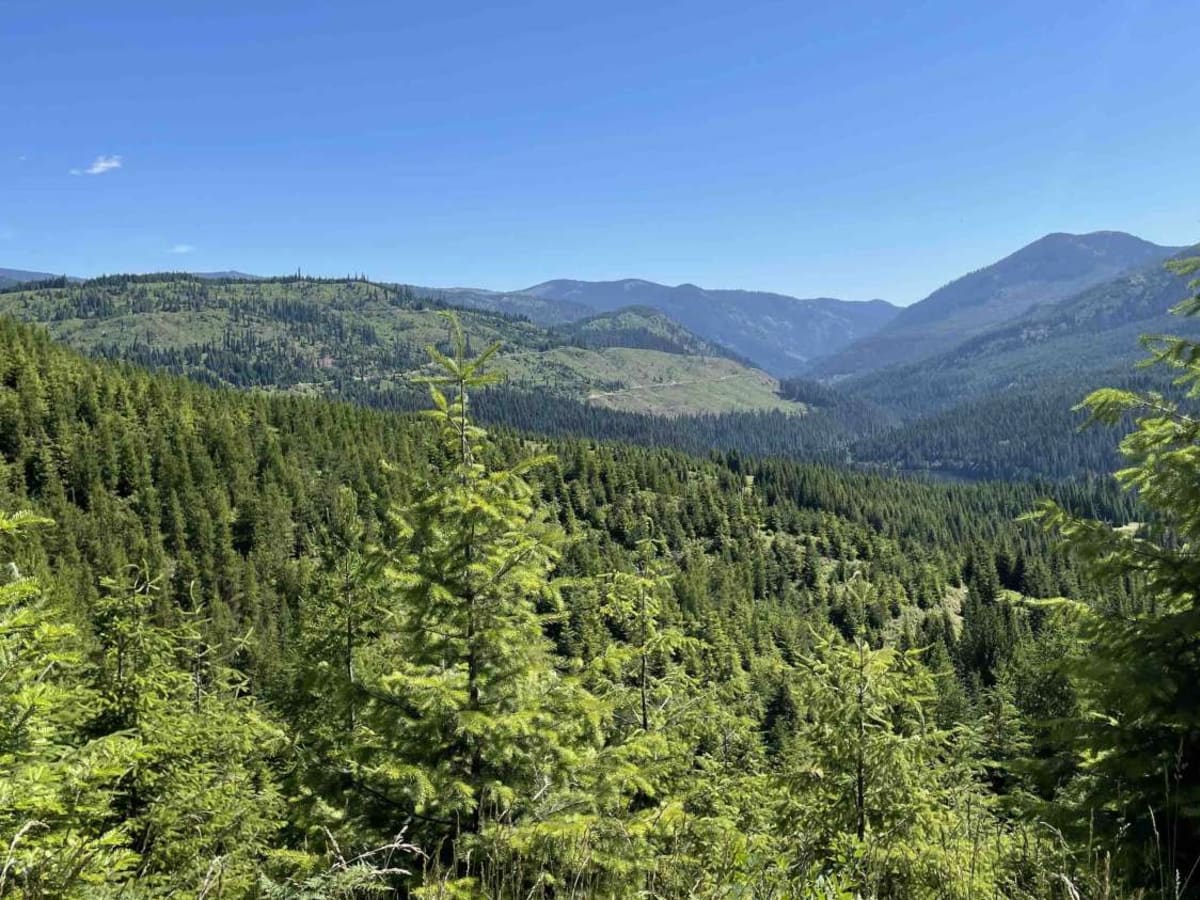 Grandad Road (Elk River to Dworshak Reservoir) photo 4