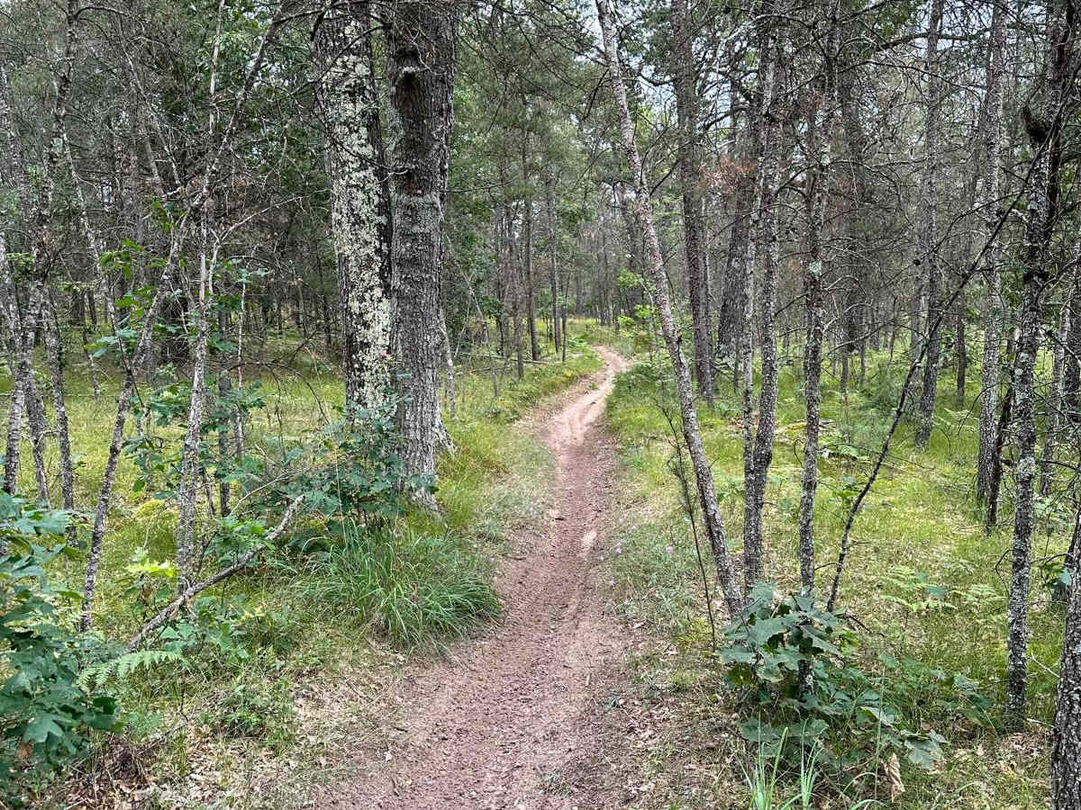 S/W Little Manistee Motorcycle Trail trail photo