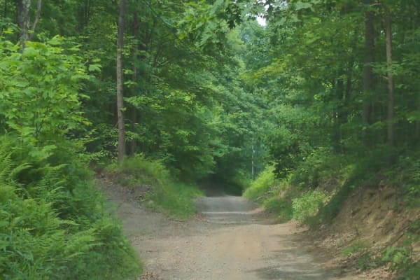 Brown Road