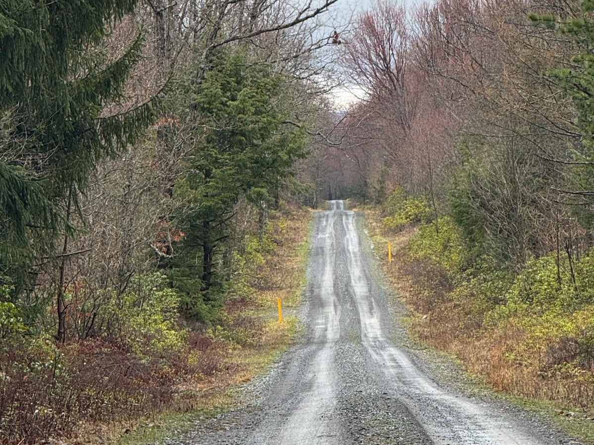 Fields Ridge Road photo 5