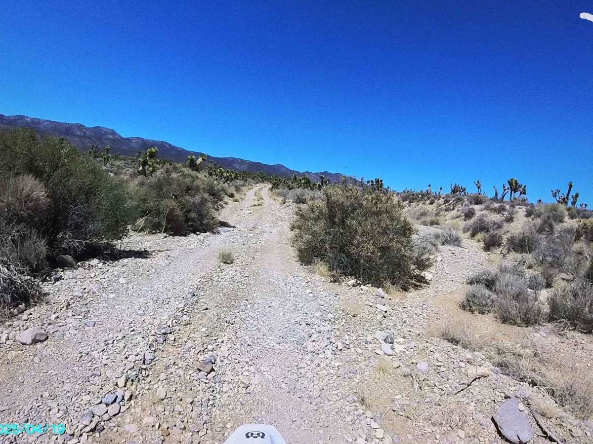 Pine Nut Road photo 6