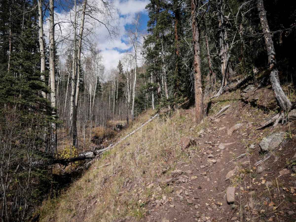 La Garita Creek Cutoff Single Track trail photo