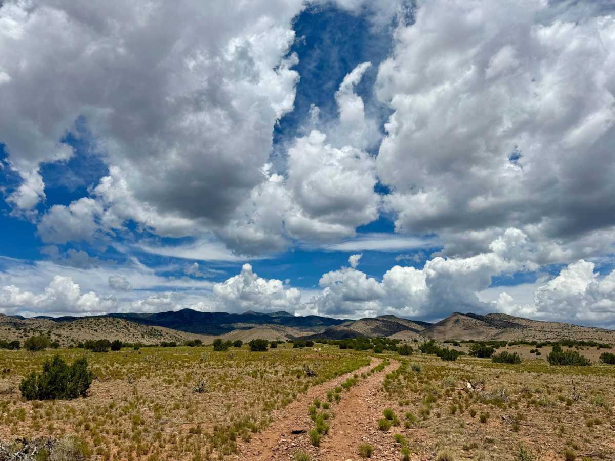 FR 227 photo 3