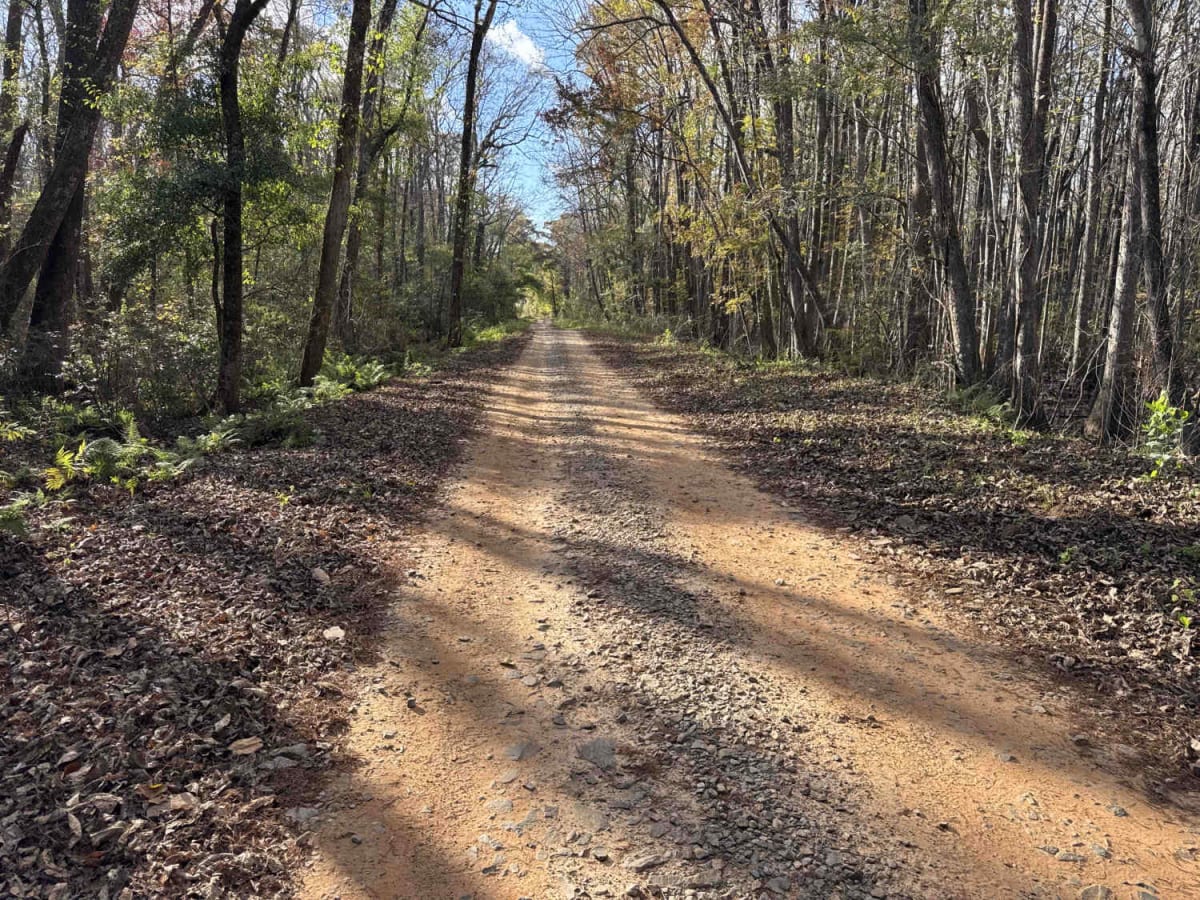 Chickasawhatchee Road trail photo