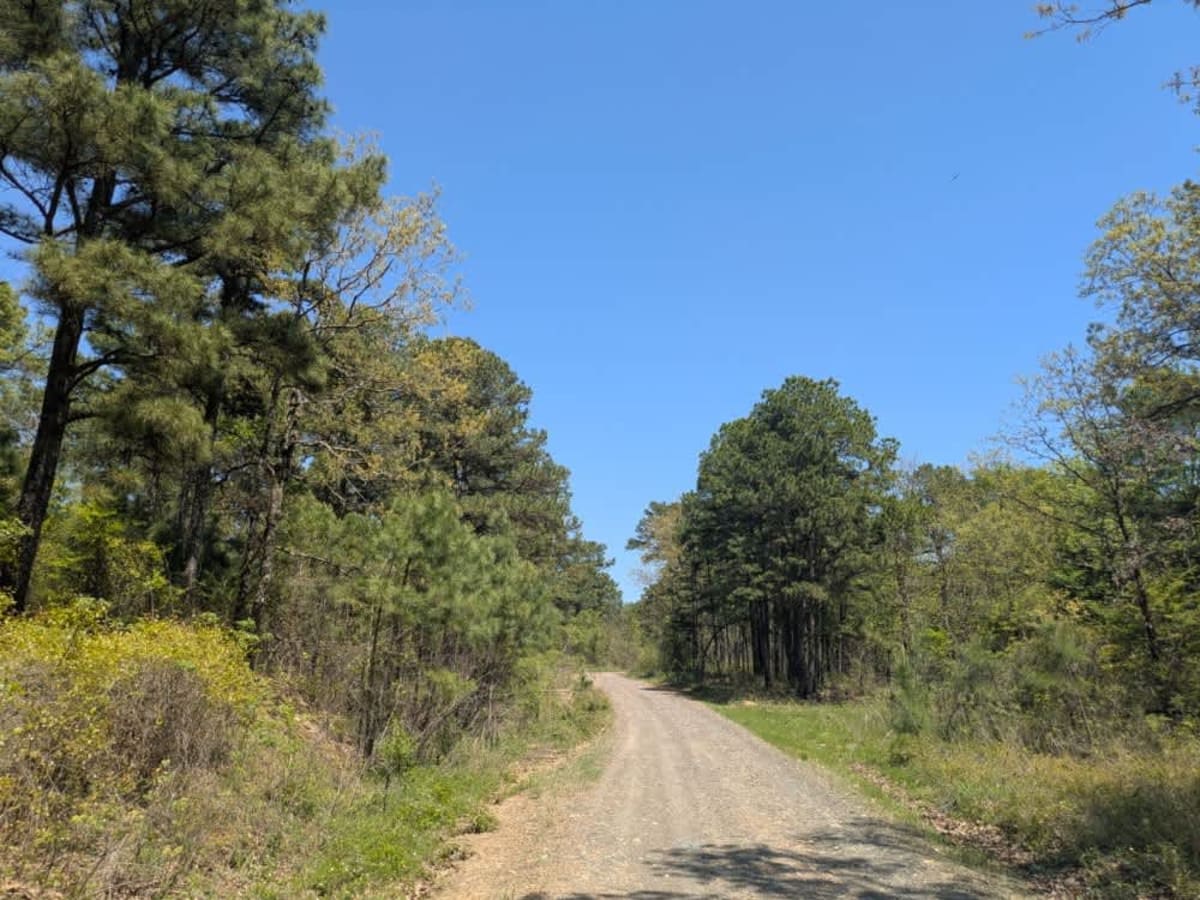 Anderson Trail photo 3