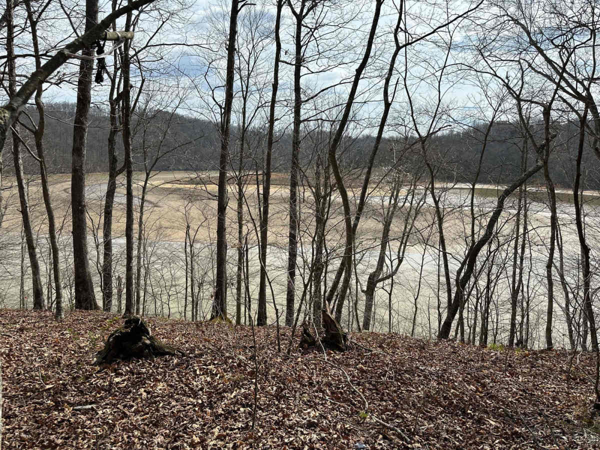 Rich Creek Trail photo 3