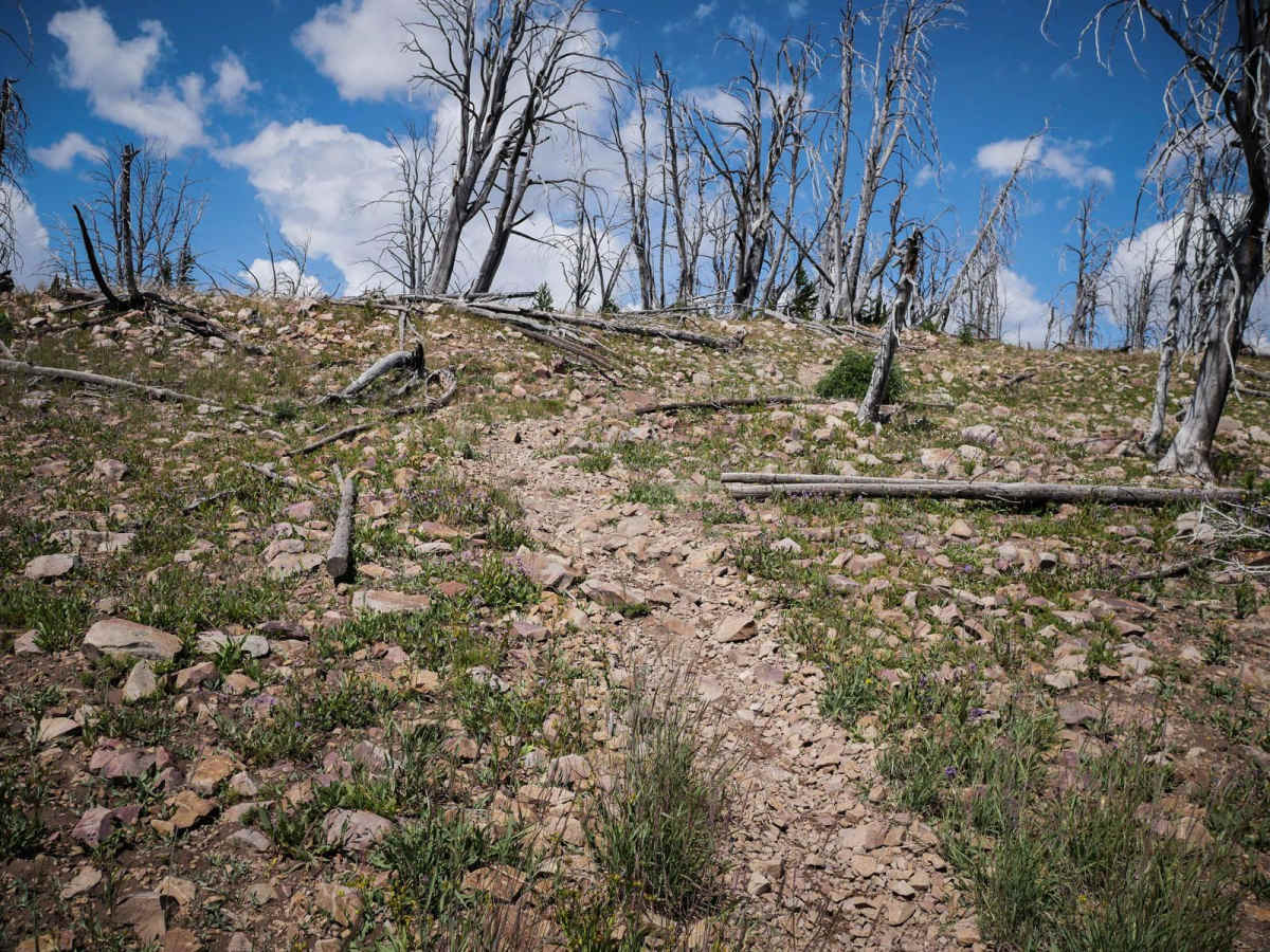 Cabin Creek photo 6