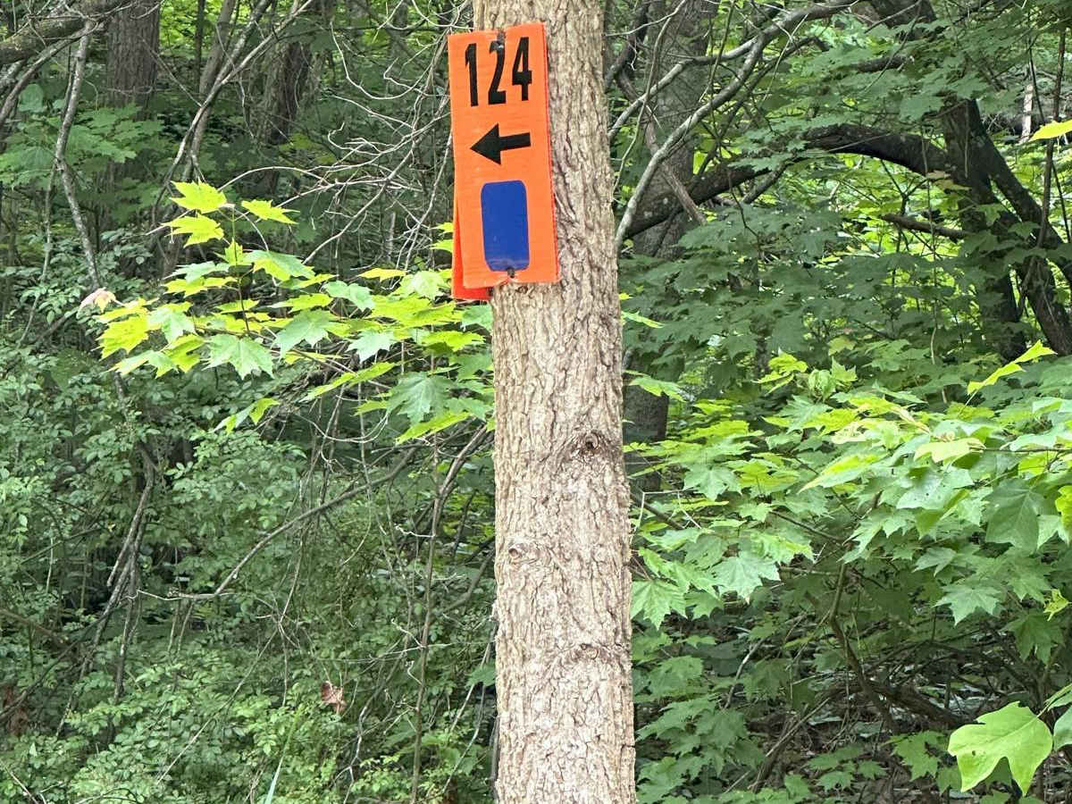 124 trail photo