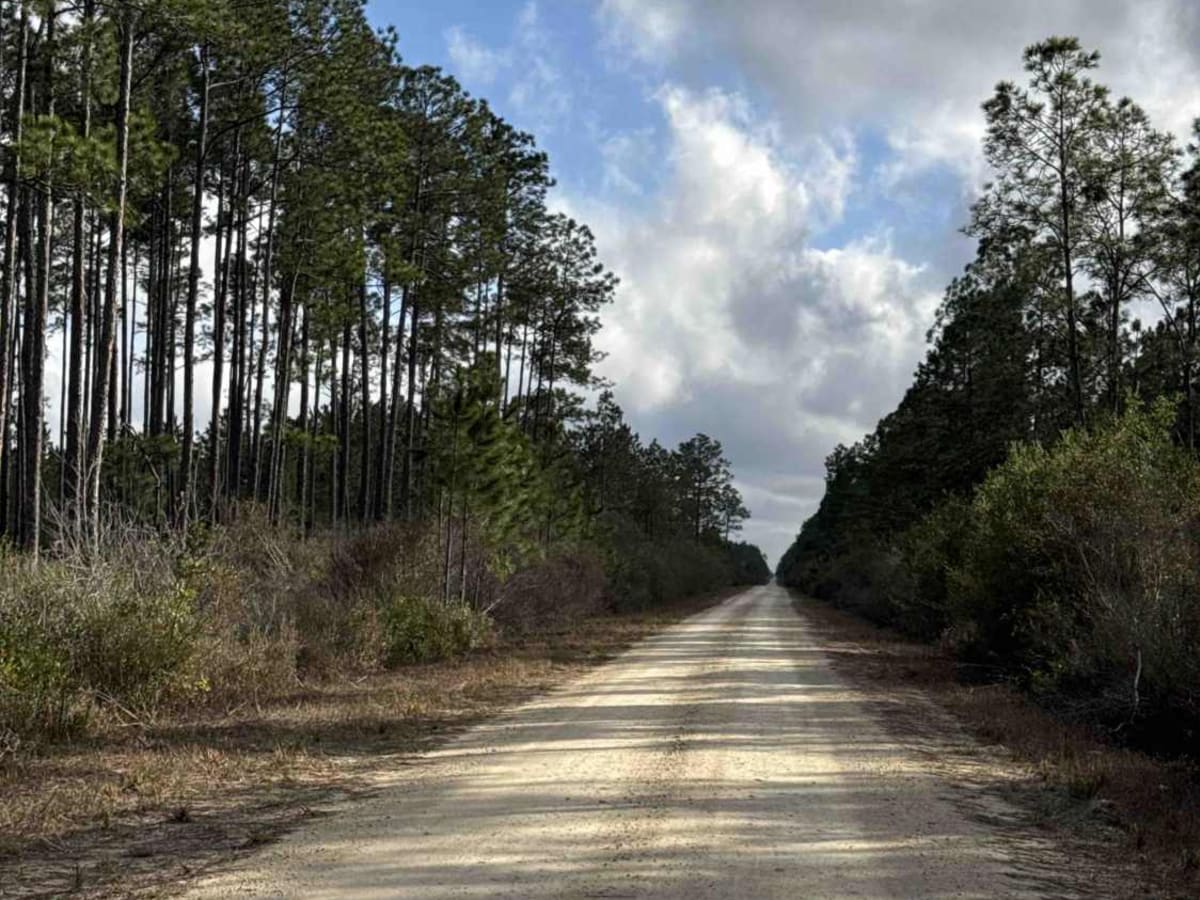 Tower Road trail photo