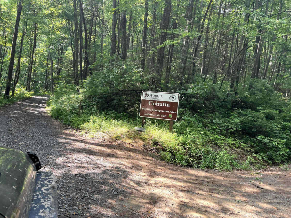 Flat Top Mountain photo 2