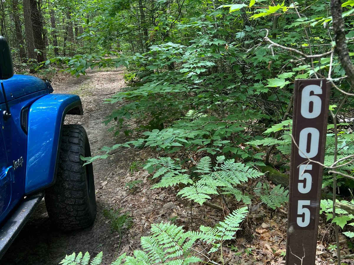 NFS 6055/5117 trail photo