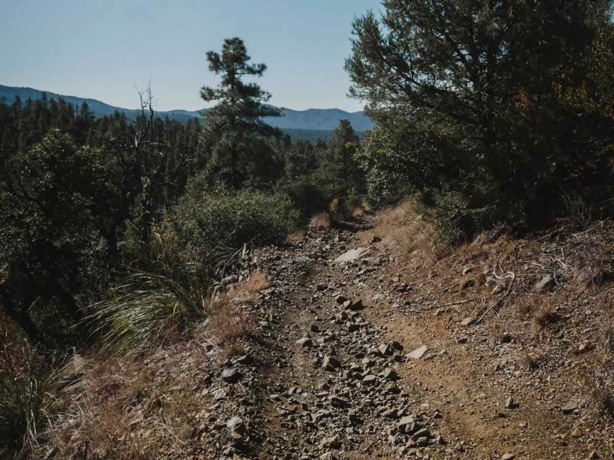 Watershed photo 2