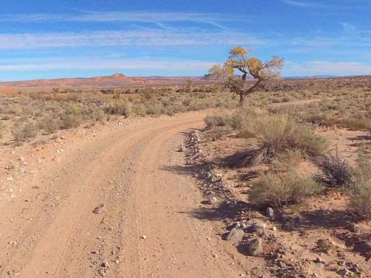 Lone Cedar Road - BLM14900 photo 5